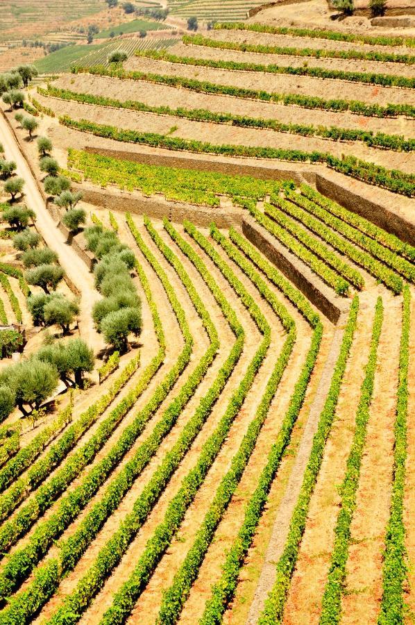 Casas De Pousadouro Baião Εξωτερικό φωτογραφία